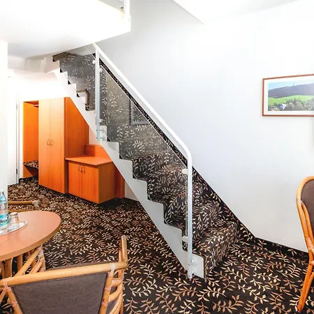 Western Ahorn – Adults Only