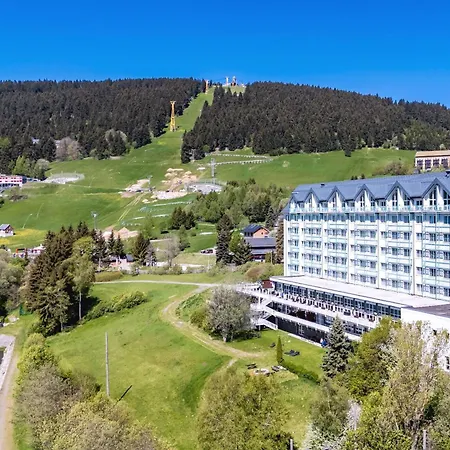 Western Ahorn – Adults Only