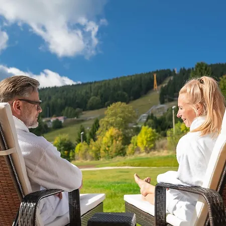 Western Ahorn – Adults Only Oberwiesenthal