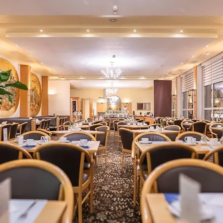 Western Ahorn - Adults Only