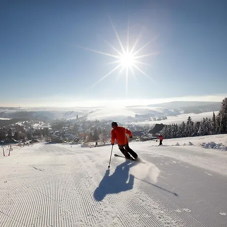 Western Ahorn - Adults Only אוברוויזנטל