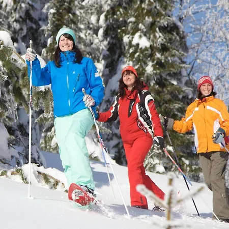 Western Ahorn - Adults Only 4* Oberwiesenthal
