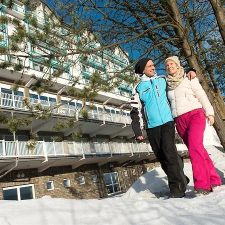 Western Ahorn - Adults Only