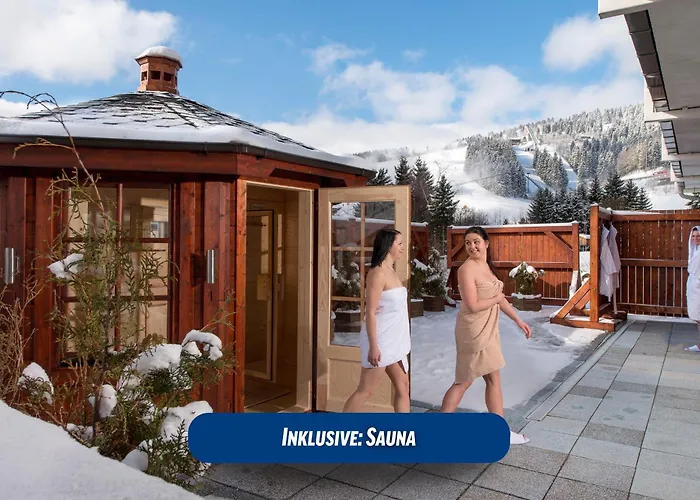 Western Ahorn - Adults Only 4* Oberwiesenthal