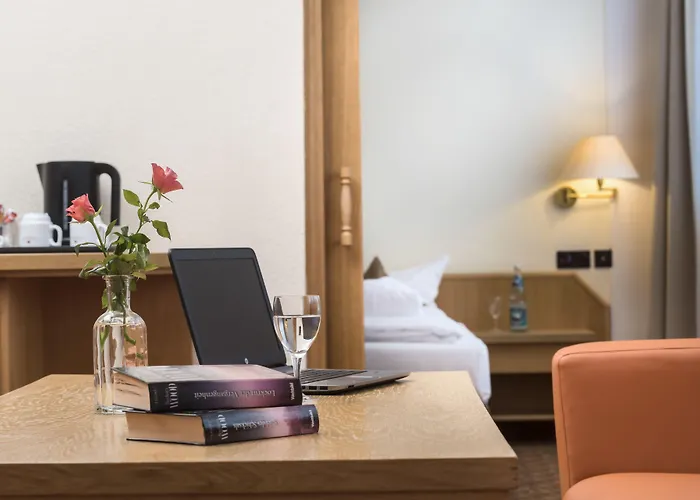 Western Ahorn - Adults Only