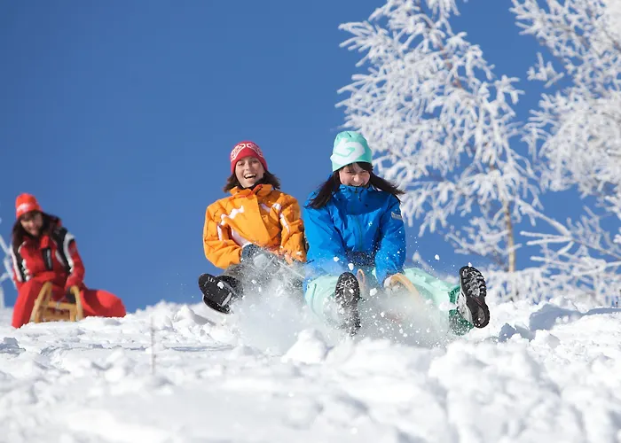 Western Ahorn - Adults Only 4*